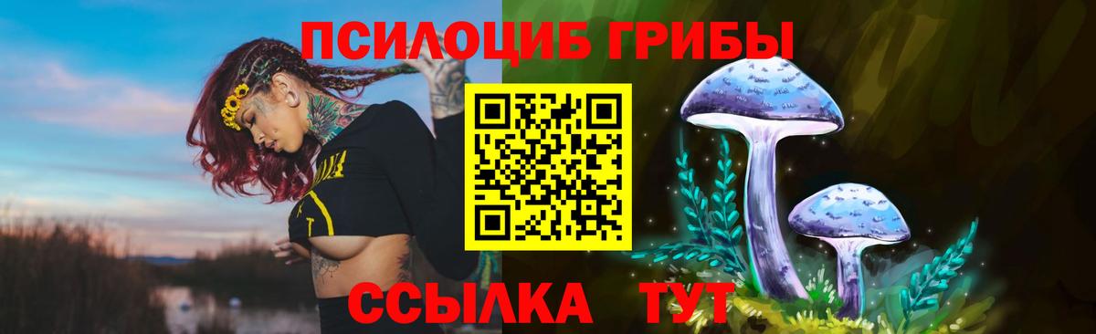 Псилоцибиновые грибы Psilocybe  Вход с VPN  где продают   Кунгур  Псилоцибиновые грибы мухоморы 